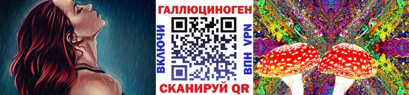 Псилоцибиновые грибы мицелий  Купить где  Рубцовск 